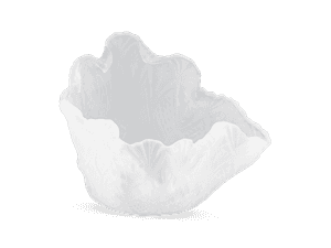 Neocrystal Vessel III